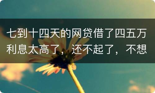 七到十四天的网贷借了四五万利息太高了，还不起了，不想还了可爱吗