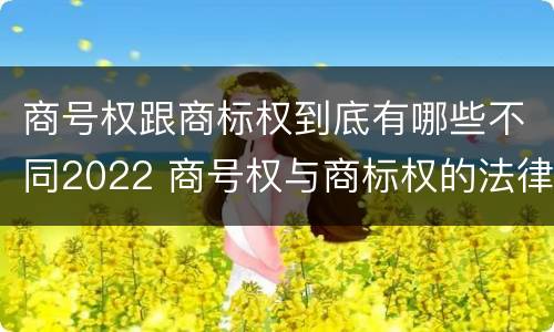 商号权跟商标权到底有哪些不同2022 商号权与商标权的法律冲突与解决