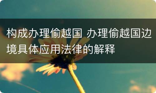 构成办理偷越国 办理偷越国边境具体应用法律的解释