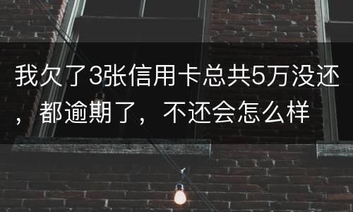 我欠了3张信用卡总共5万没还，都逾期了，不还会怎么样
