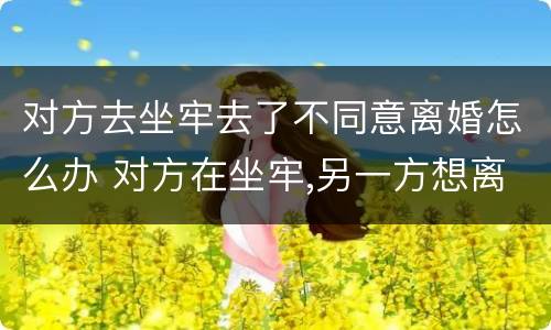 对方去坐牢去了不同意离婚怎么办 对方在坐牢,另一方想离婚,该怎么办