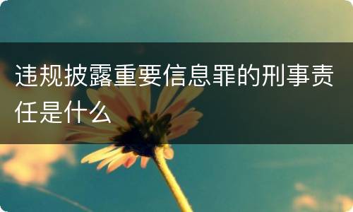 违规披露重要信息罪的刑事责任是什么