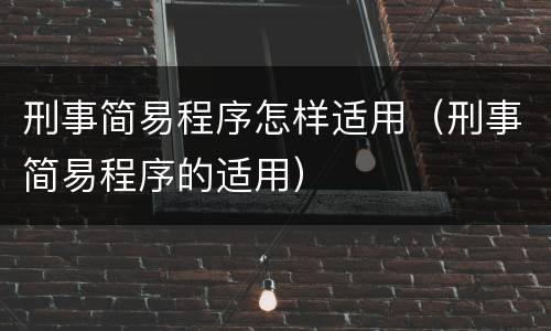 刑事简易程序怎样适用（刑事简易程序的适用）