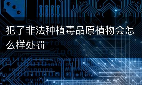 犯了非法种植毒品原植物会怎么样处罚
