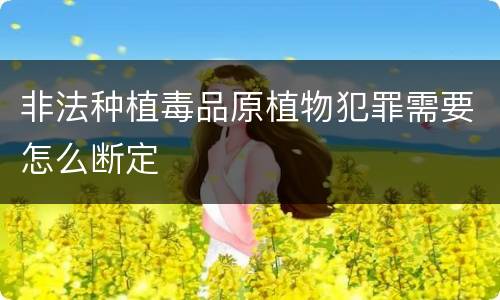 非法种植毒品原植物犯罪需要怎么断定