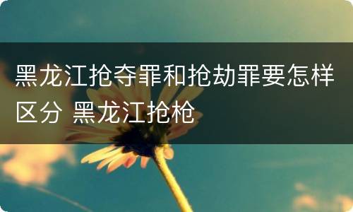 黑龙江抢夺罪和抢劫罪要怎样区分 黑龙江抢枪