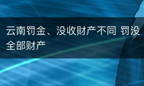 云南罚金、没收财产不同 罚没全部财产