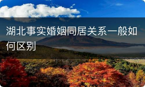 湖北事实婚姻同居关系一般如何区别