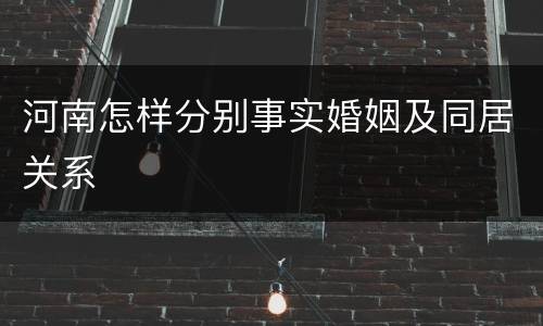 河南怎样分别事实婚姻及同居关系