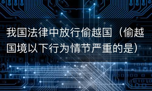 我国法律中放行偷越国（偷越国境以下行为情节严重的是）