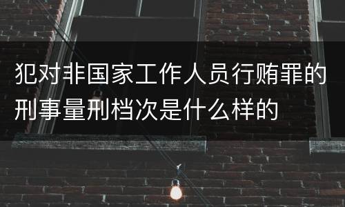 犯对非国家工作人员行贿罪的刑事量刑档次是什么样的