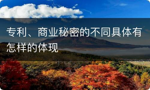 专利、商业秘密的不同具体有怎样的体现