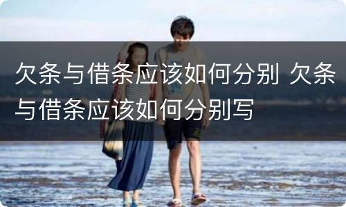 欠条与借条应该如何分别 欠条与借条应该如何分别写